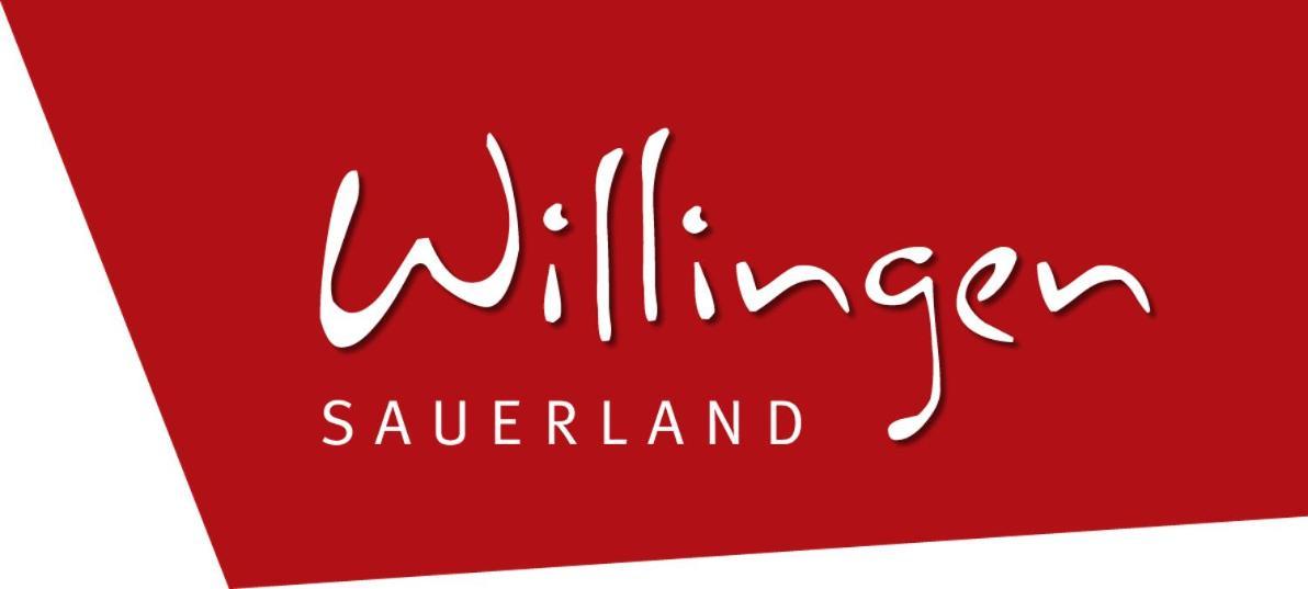 Komfort-Fewo Blickfang Willingen*** Willingen  Exterior photo