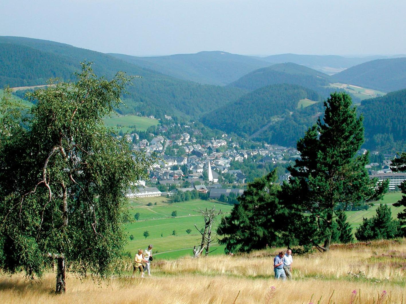 Komfort-Fewo Blickfang Willingen*** Willingen  Exterior photo